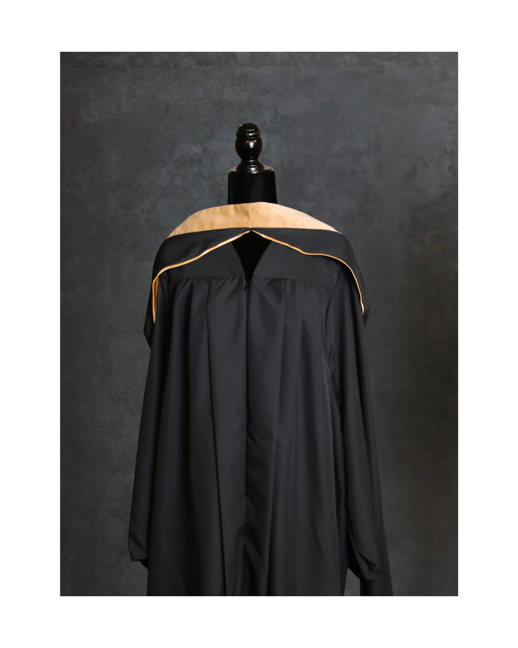 Master's of Business & Administration Hood