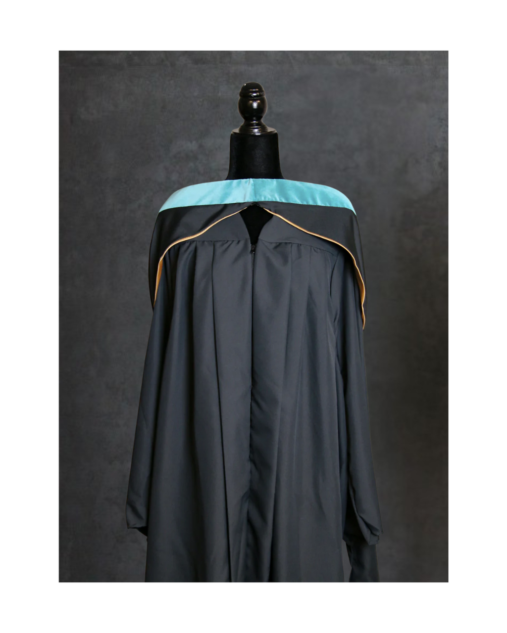 Masters in Education Hood