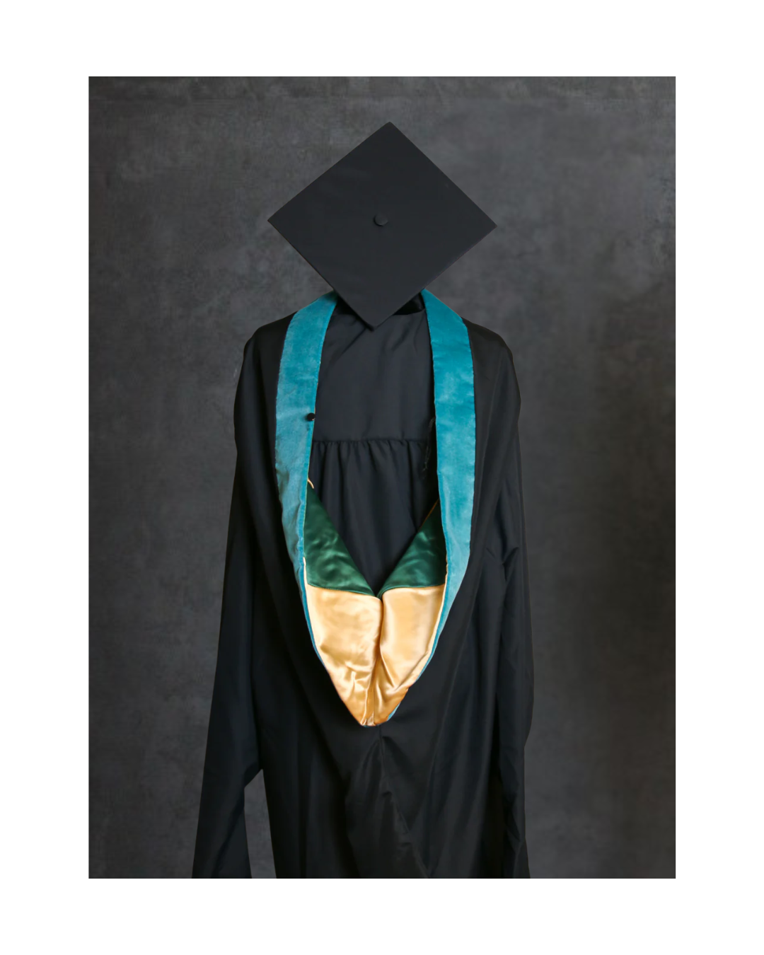 Master's of Physical Therapy Hood
