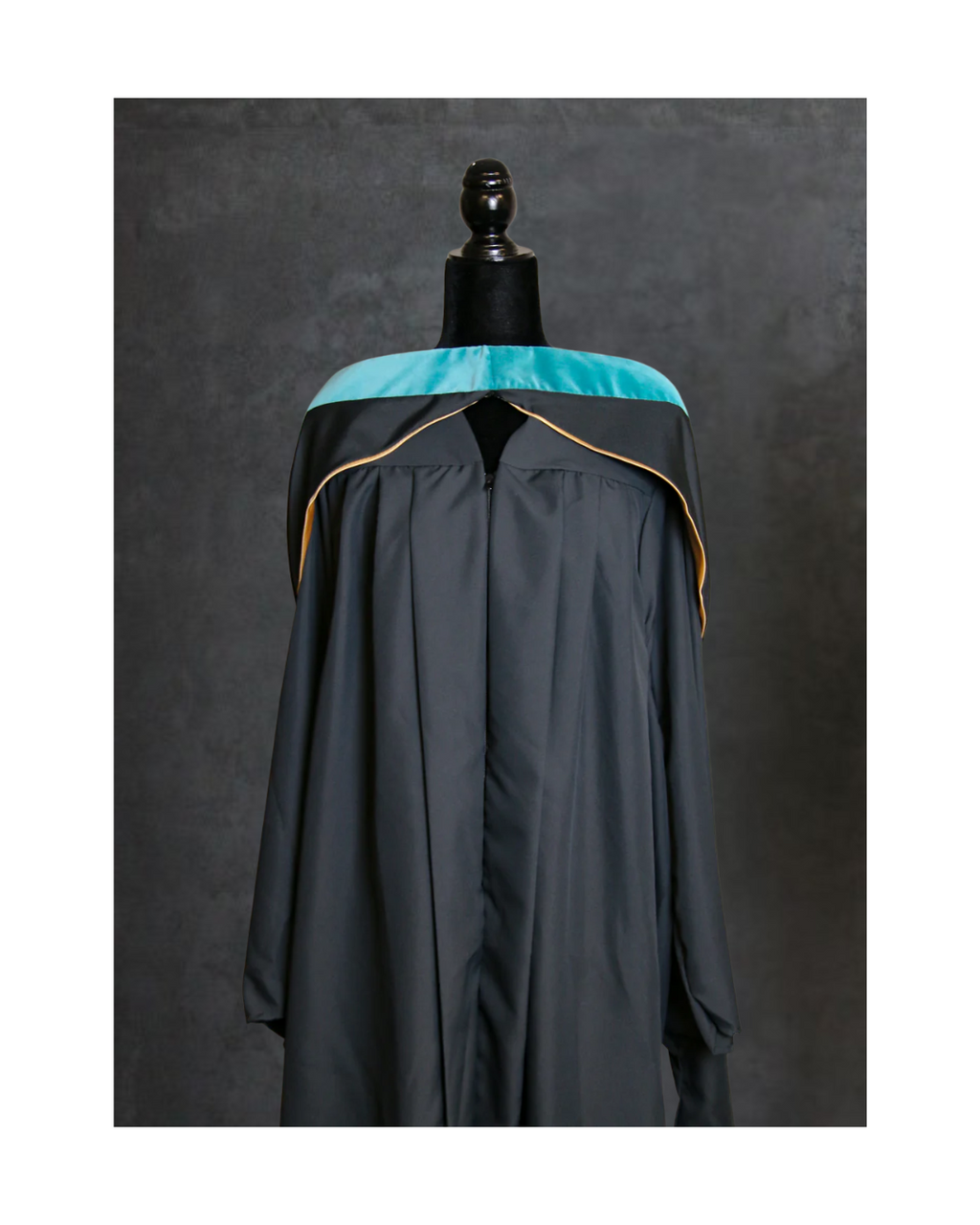 Master's of  Public Policy Hood
