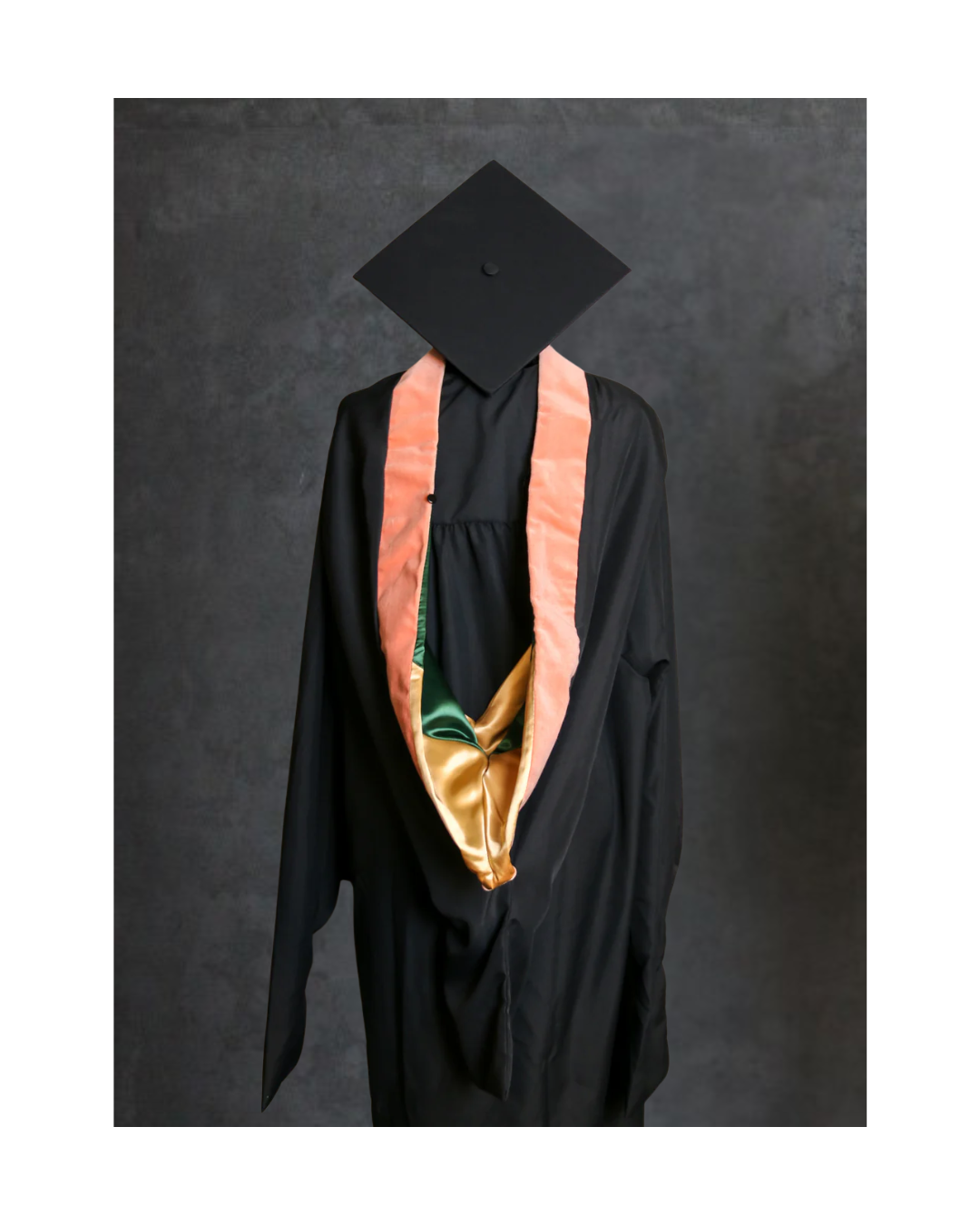 Master's of Public Health Hood