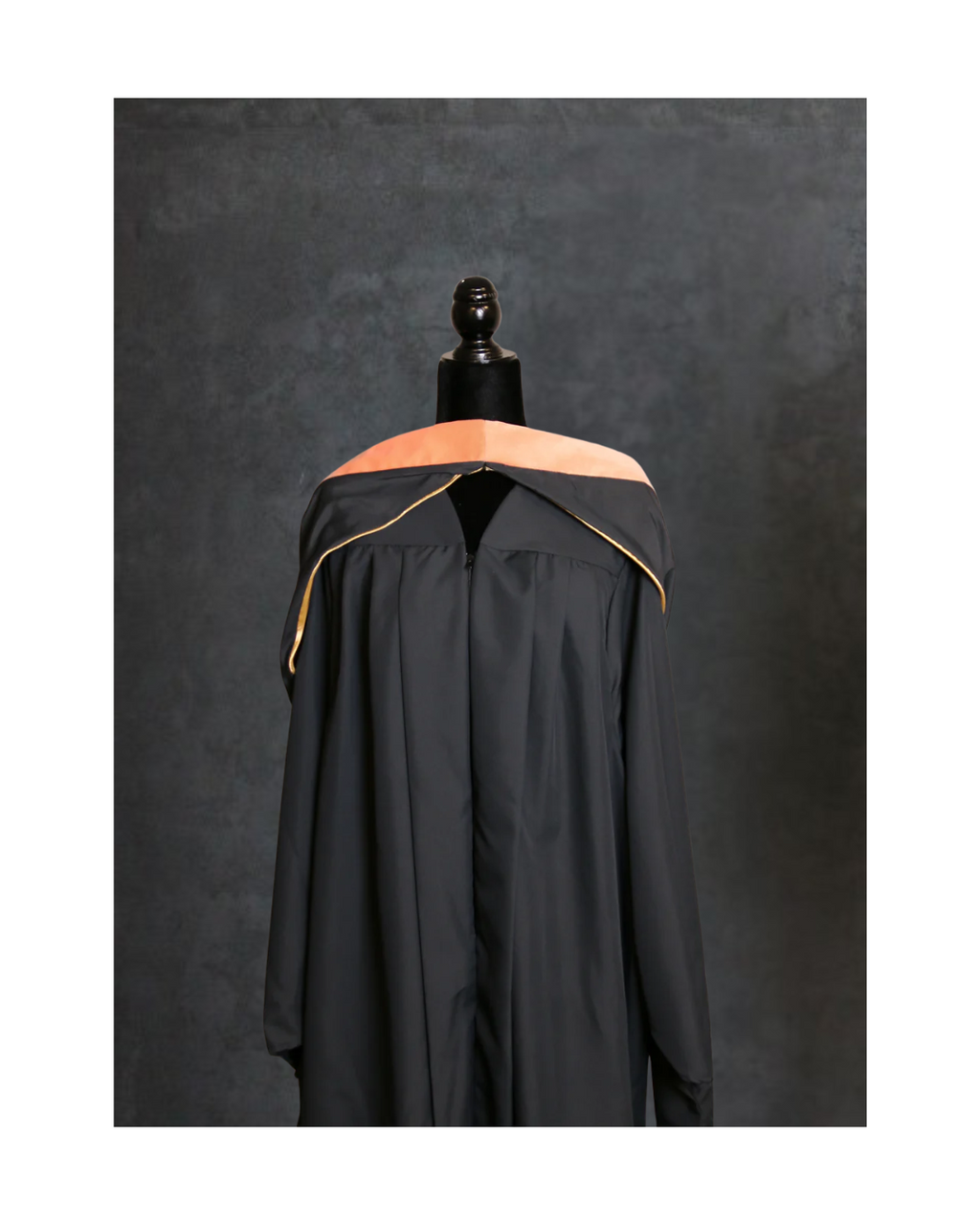 Master's of Public Health Hood