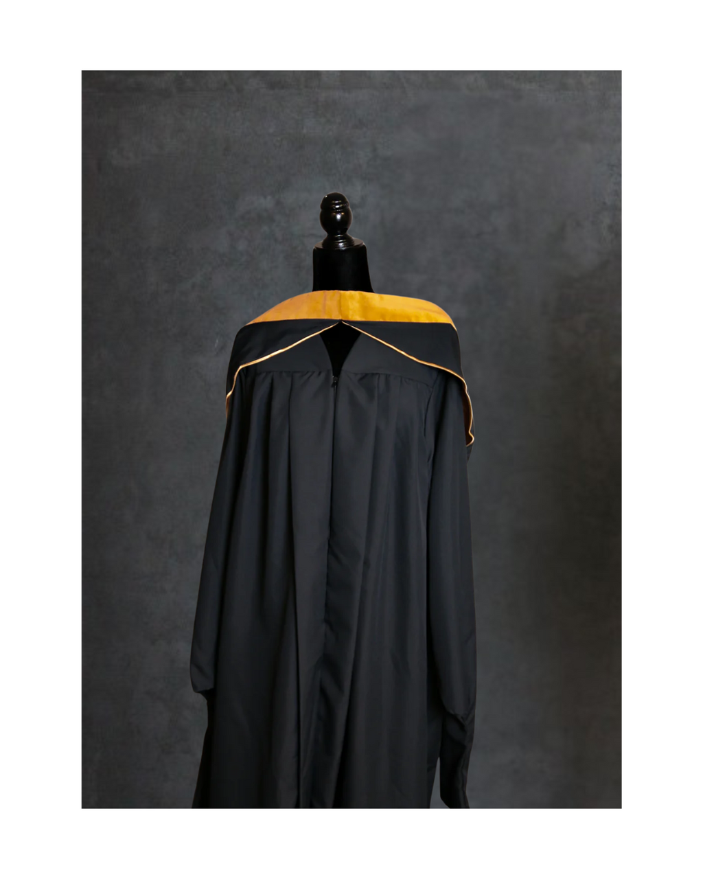 Master's of Science Hood