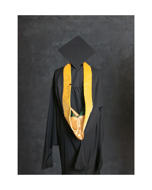 Master's of Social Work Hood